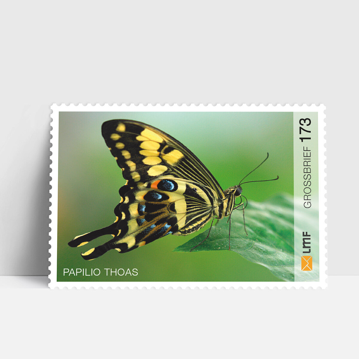 Großbrief 10-er Bogen Schmetterling